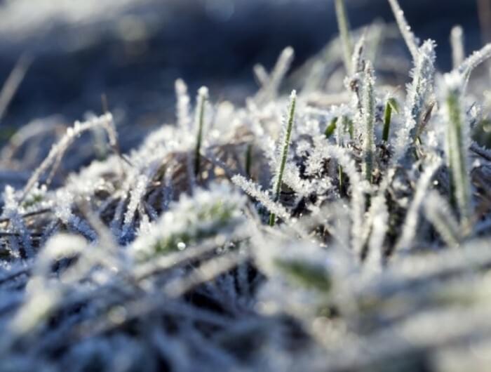 Leden - měsíc chladu, který prověří naše ledviny a močový měchýř